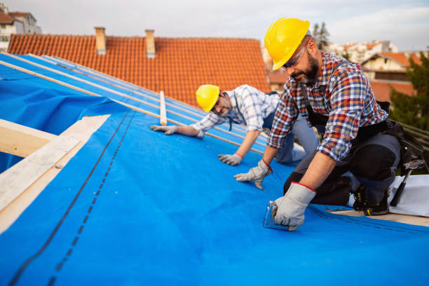 Best Roof Gutter Cleaning  in Covington, TN